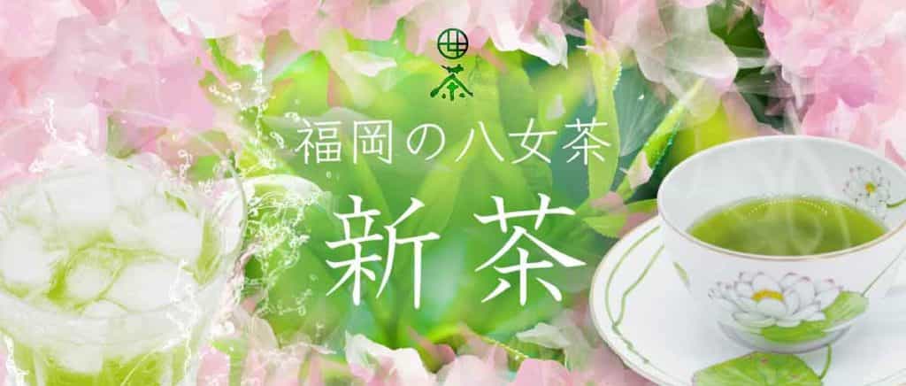 sincha-yamecha-hosinocha-mukohmatcha