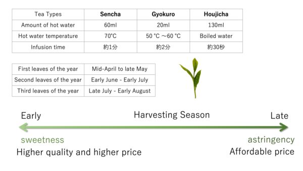 4 en green tea harvest season and price