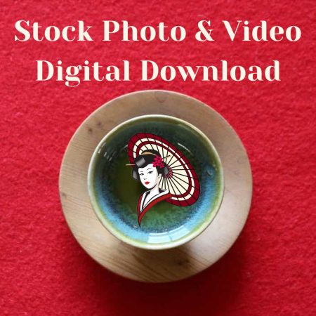 stock photo video