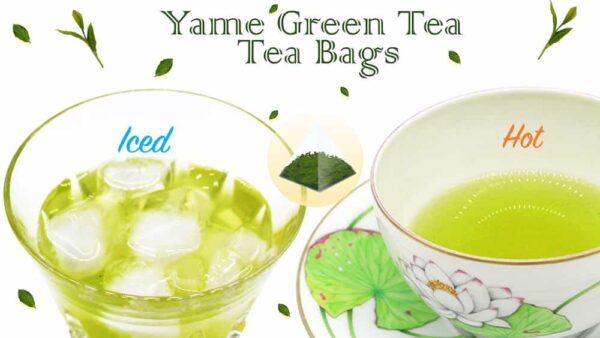 Japanese Yame Green Tea Bags