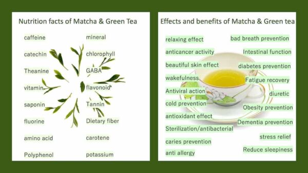 Matcha Green Tea nutrients benefits2