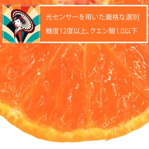 japanese fruits orange1
