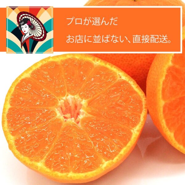 japanese fruits orange5