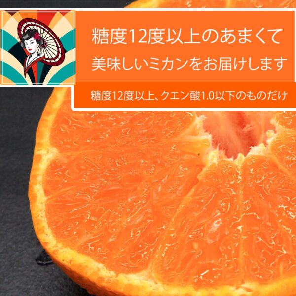 japanese fruits orange6