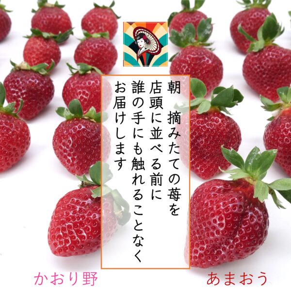 japanese fruits strawberry 2