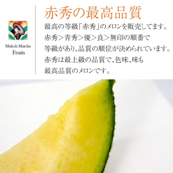 japanese melon 4