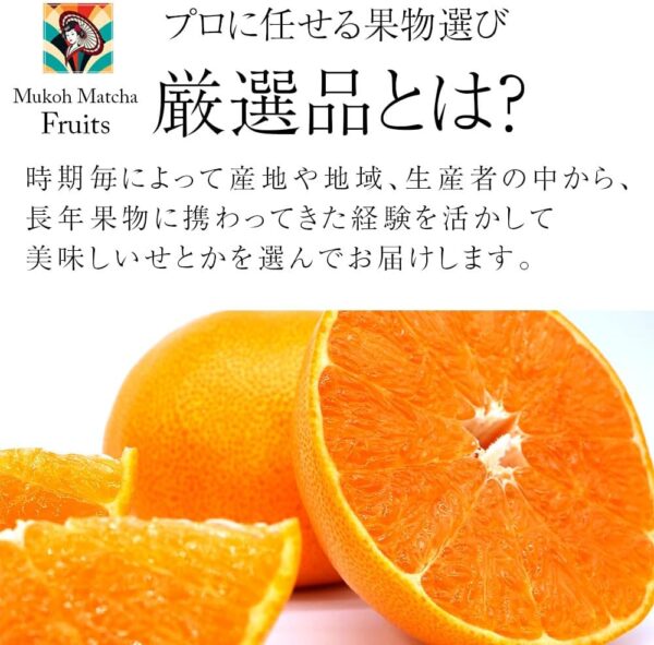 せとか 蜜柑 みかん ミカン 高級 Japanese expensive orange 2