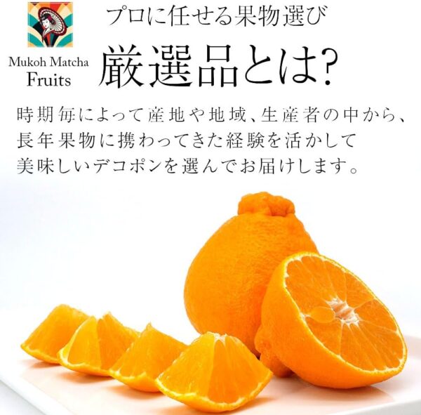 デコポン 不知火 蜜柑 みかん ミカン 高級 Japanese expensive orange 2