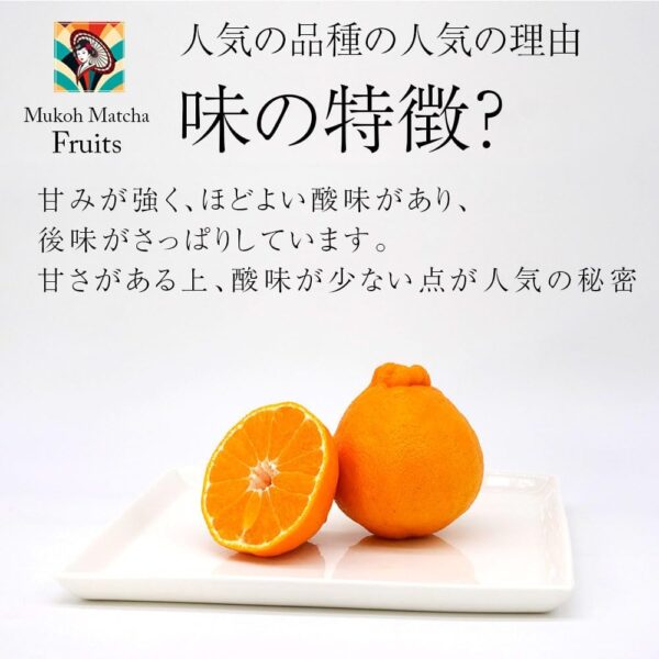 デコポン 不知火 蜜柑 みかん ミカン 高級 Japanese expensive orange 3