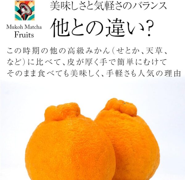 デコポン 不知火 蜜柑 みかん ミカン 高級 Japanese expensive orange 4