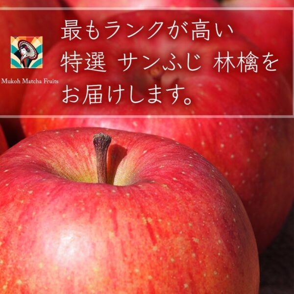 高級 大玉 サンふじ りんご 林檎 Japanese expensive apple gift 2